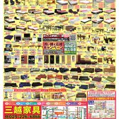 読売190215